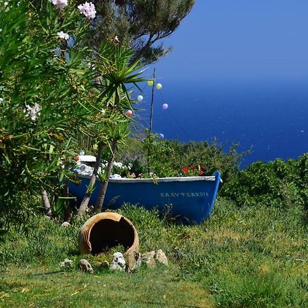 Appartamento Panoramma Hause, Kampos Evdilou,Ikaria Evdilos  Esterno foto